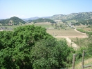 IMGP2548