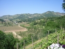 IMGP2549