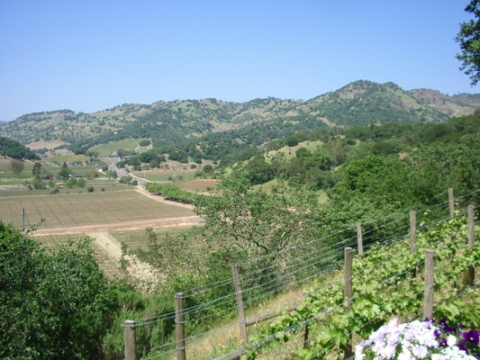 IMGP2549